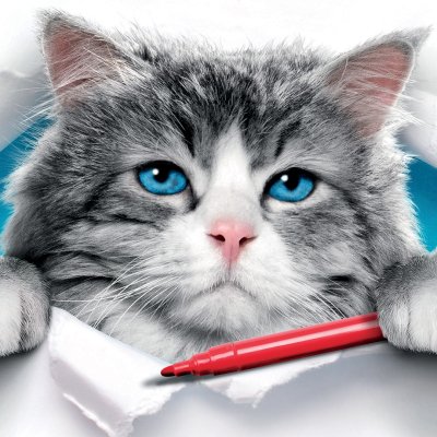 Download Nine Lives Cat Movie PFP