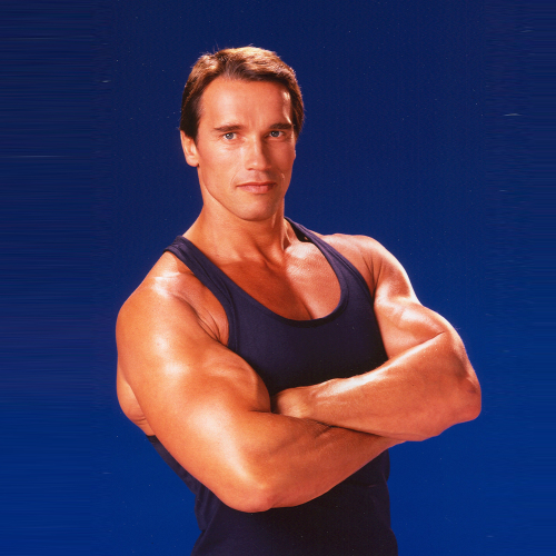 Arnold Schwarzenegger Pfp