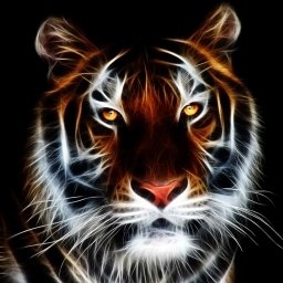 Download Tiger Animal PFP