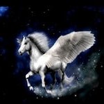 Download Fantasy Pegasus PFP