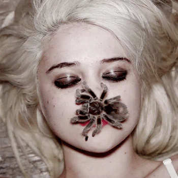 spider music Sky Ferreira PFP