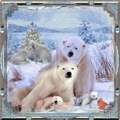 Download Animal Polar Bear PFP