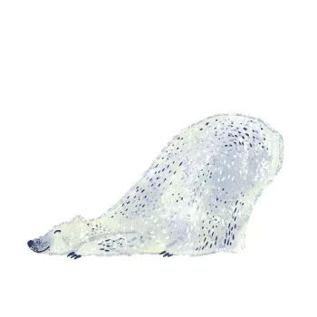 Animal polar bear PFP
