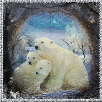 Animal polar bear PFP