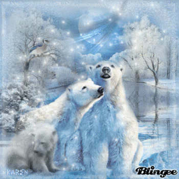 Animal polar bear PFP