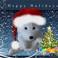 Animal polar bear PFP