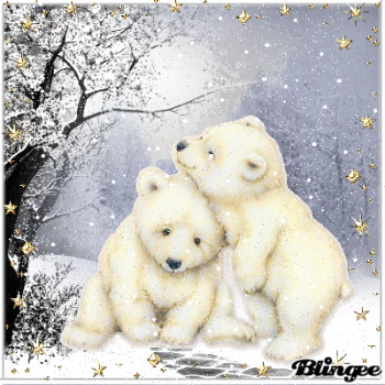 Animal polar bear PFP