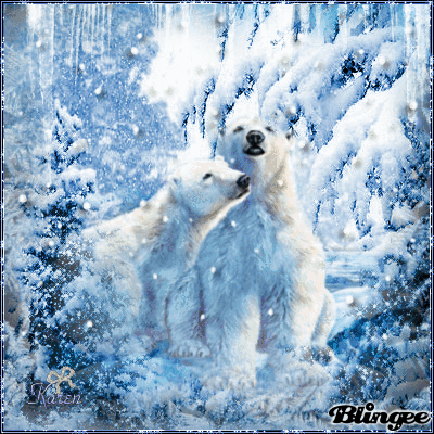 Download Animal Polar Bear PFP