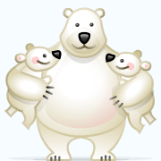 Download Animal Polar Bear PFP