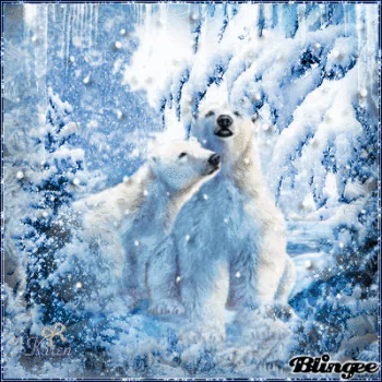 Animal polar bear PFP