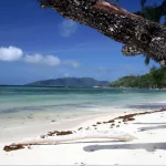nature beach PFP