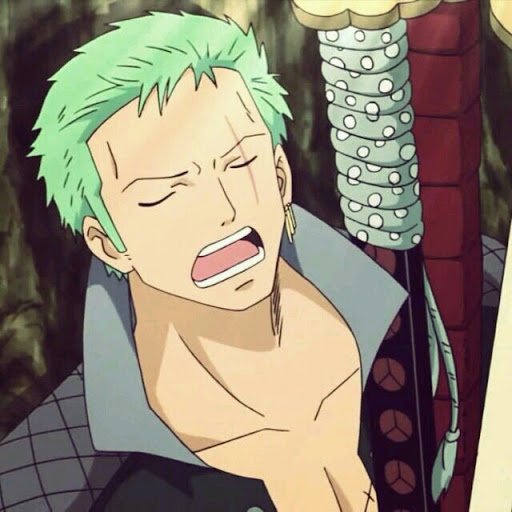 Download Roronoa Zoro Anime One Piece PFP