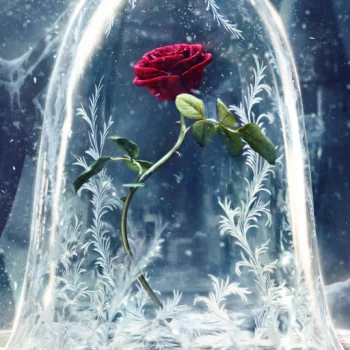  Beauty And The Beast