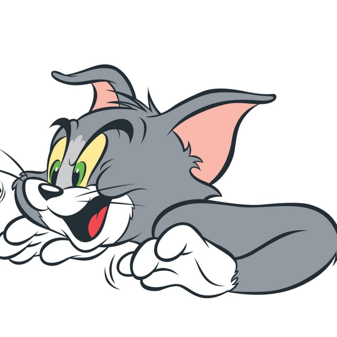 Tom and Jerry Pfp