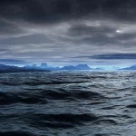 nature ocean PFP