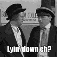 Download TV Show The Three Stooges PFP