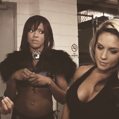 Download WWE Sports PFP