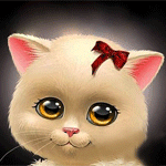 Download Cute White Kitten Animal Cat Cute Cat PFP