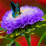 Download Purple Flower Wings Butterfly Animal PFP