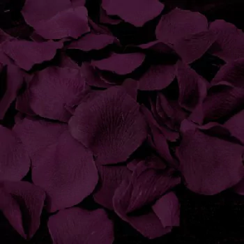  Purple Rose Petals