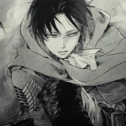 Attack On Titan Forum Avatar | Profile Photo - ID: 85529 - Avatar Abyss