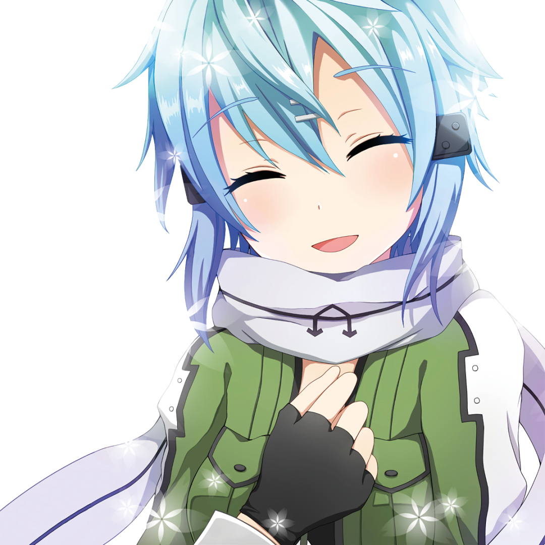 Download Sword Art Online II Shino Asada Anime PFP
