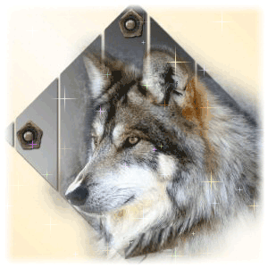 Download Glitter Animal Wolf PFP