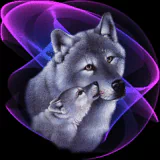 Animal wolf PFP