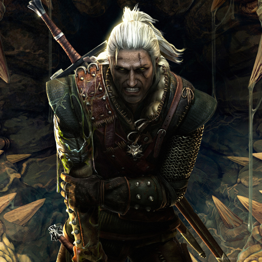 The Witcher 2: Assassins Of Kings Pfp
