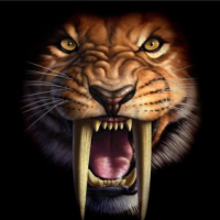 Download Saber-toothed Tiger Animal Extinct PFP