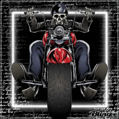 Download Motorcycle Harley-Davidson Vehicle PFP
