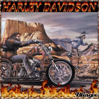 motorcycle Harley-Davidson vehicle PFP