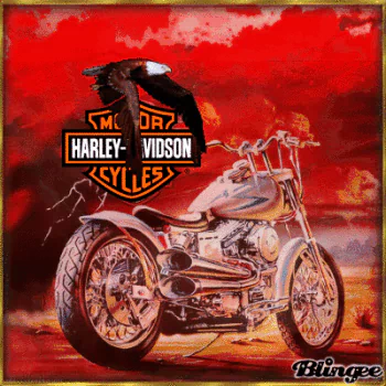 motorcycle Harley-Davidson vehicle PFP