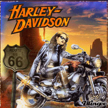 glitter motorcycle Harley-Davidson vehicle PFP