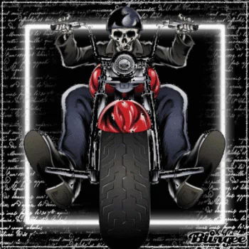 motorcycle Harley-Davidson vehicle PFP