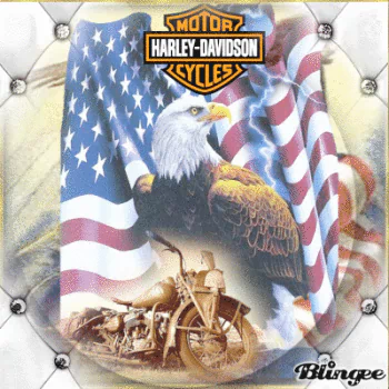 motorcycle Harley-Davidson vehicle PFP