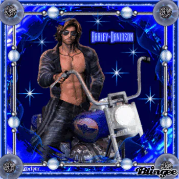 glitter motorcycle Harley-Davidson vehicle PFP