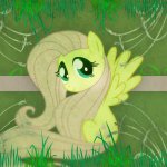 Download Fluttershy (My Little Pony) Vector My Little Pony TV Show My Little Pony: Friendship Is Magic PFP