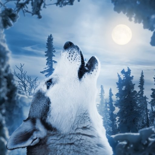 Download Blue Howling Wolf Animal PFP