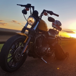 Yellow Harley-Davidson