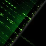 technology binary PFP