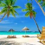 nature beach PFP