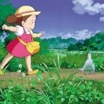 Download Anime My Neighbor Totoro PFP
