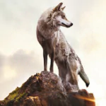 wolf Wolf Totem movie PFP
