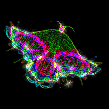 Download Artistic Butterfly PFP