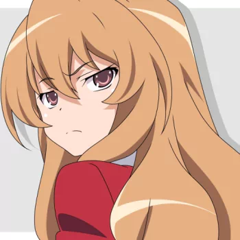 Anime Toradora! PFP