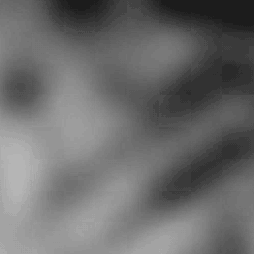 Download Heavy Metal Music In This Moment PFP