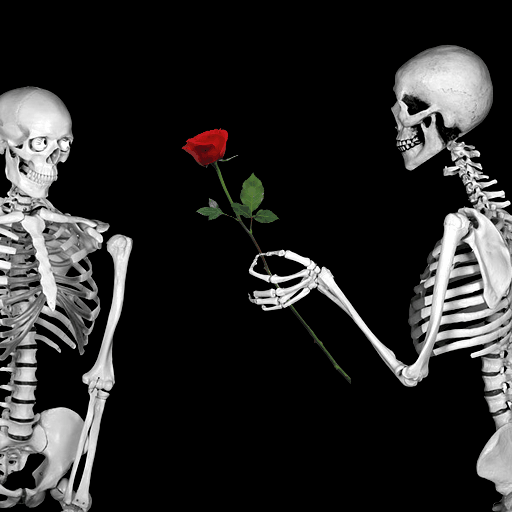 Download Funny Humor Mood Love Valentine's Day Dark Skeleton PFP
