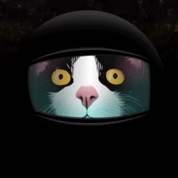 astronaut funny cat PFP