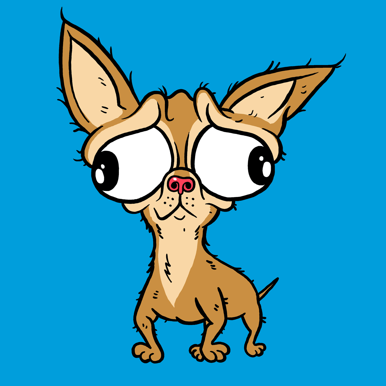 Download Chihuahua Funny Dog PFP
